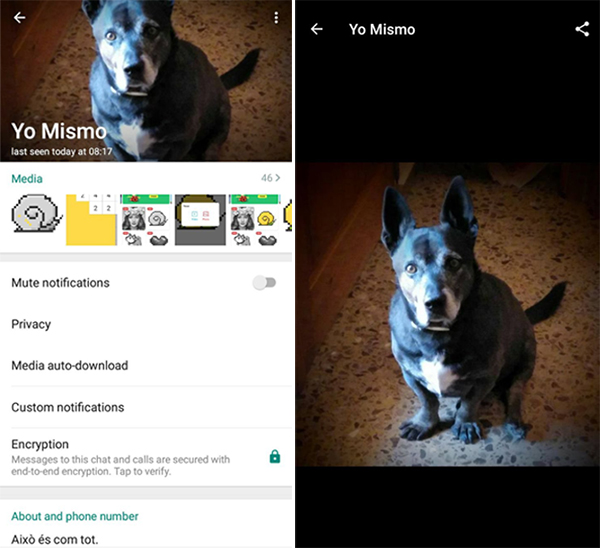 GB WhatsApp Ios Emoji
